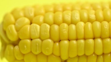 # Sarı mısır koçanının üstünde #