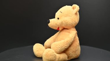 Siyah arka planda oyuncak ayı