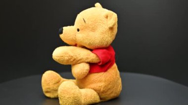 Siyah arka planda oyuncak ayı