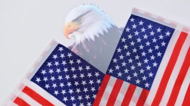 Kel kartallı Amerikan bayrağı geçmişi