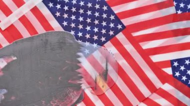 Kel kartallı Amerikan bayrağı geçmişi