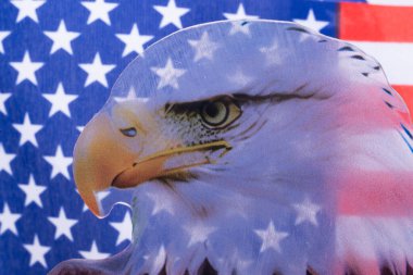 Kel kartallı Amerikan bayrağı