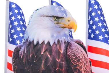 Kel kartallı Amerikan bayrağı
