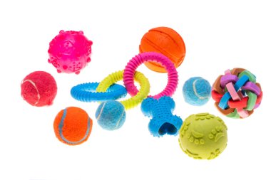 köpek oyuncakları beyaz arkaplanda izole