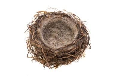 Kuş yuvası beyaz arkaplanda izole edildi