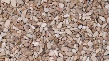 Küçük kuru çakıl taşları. Yakın plan.