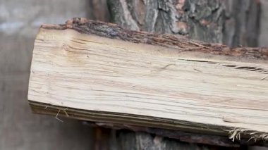 background of chopped firewood close up