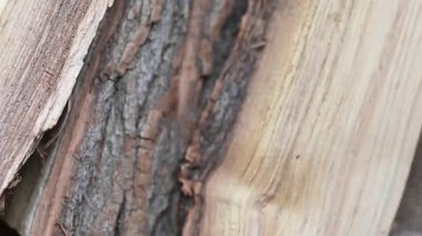 background of chopped firewood close up