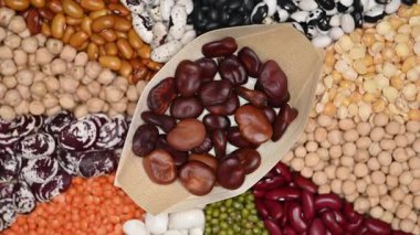 Farklı fasulye karışımının videosu. Yakın çekim.