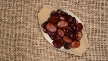 Fava fasülyeleri çuval bezine yakın.