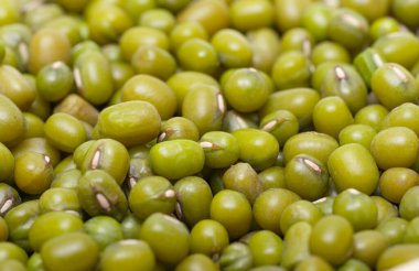 Mung fasulyeleri beyaz arkaplanda izole