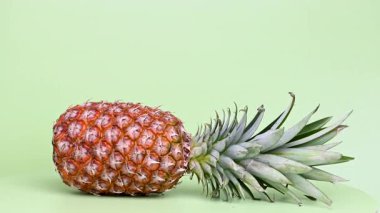 Ananas Meyve yeşil zemin üzerine