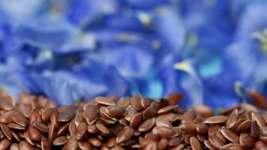 Flax çiçekli video keten tohumları