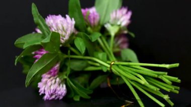 Yonca buketinin videosunu kapat