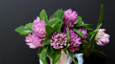 Yonca buketinin videosunu kapat