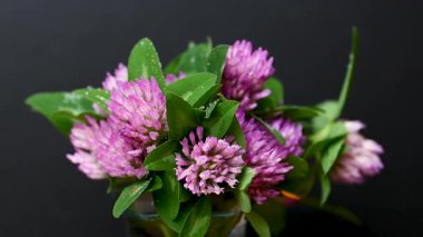 Yonca buketinin videosunu kapat