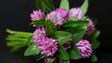 Yonca buketinin videosunu kapat