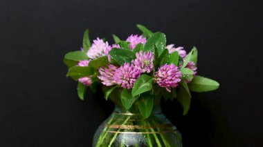 Yonca buketinin videosunu kapat