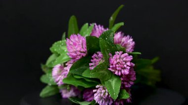 Yonca buketinin videosunu kapat