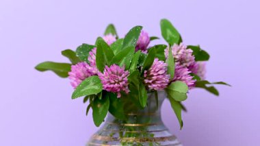 Yonca buketinin videosunu kapat