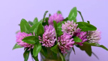 Yonca buketinin videosunu kapat