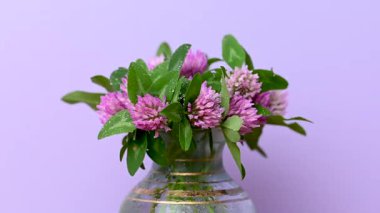 Yonca buketinin videosunu kapat