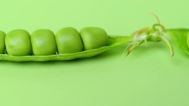 açık yeşil arkaplanda yeşil bezelye kabukları