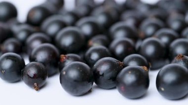 Kuşüzümü videosu. Kapatın.