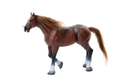 Beyaz arkaplanda izole edilmiş at