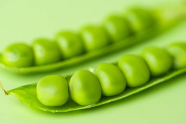 açık yeşil arkaplanda yeşil bezelyeler