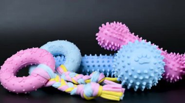 Köpek oyuncakları siyah arkaplanı kapatır