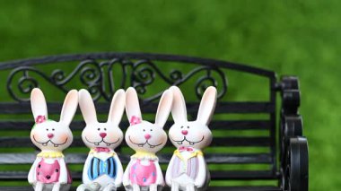 Mutlu Paskalya tavşanlarının yakın çekim videosu.