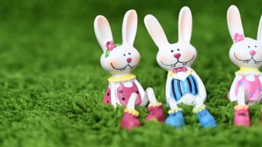 Mutlu Paskalya tavşanlarının yakın çekim videosu.