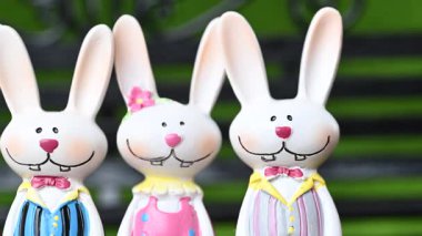 Mutlu Paskalya tavşanlarının yakın çekim videosu.