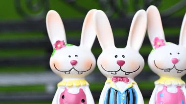 Mutlu Paskalya tavşanlarının yakın çekim videosu.