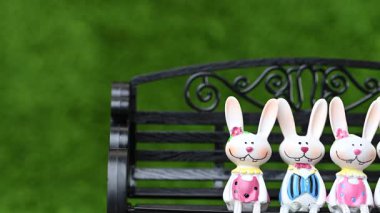 Mutlu Paskalya tavşanlarının yakın çekim videosu.