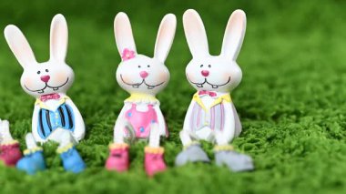 Mutlu Paskalya tavşanlarının yakın çekim videosu.