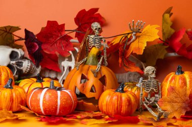 Cadılar bayramı için balkabakları ve iskeletlerle sonbahar süslemesi