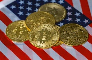 Amerikan bayrağında şifreli paralar