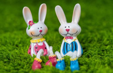 Mutlu Paskalya tavşanlarının yakın plan fotoğrafı.