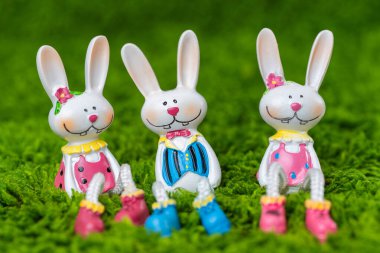 Mutlu Paskalya tavşanlarının yakın plan fotoğrafı.