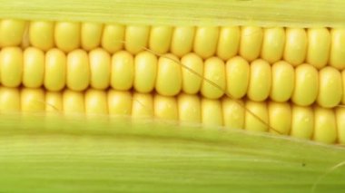 Sarı taze mısırın videosu.