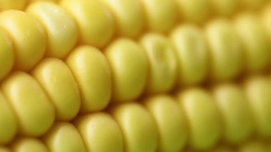 Sarı taze mısırın videosu.
