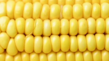 Sarı taze mısırın videosu.