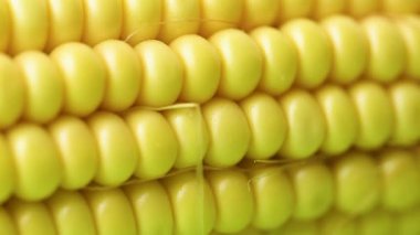 Sarı taze mısırın videosu.