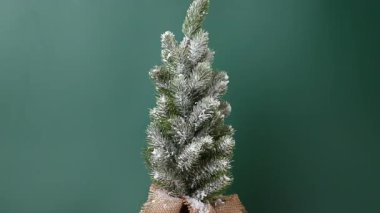 Stüdyoda karlı Noel ağacı videosu