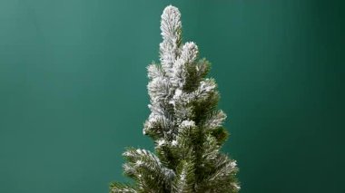 Stüdyoda karlı Noel ağacı videosu