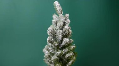 Stüdyoda karlı Noel ağacı videosu