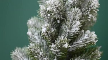 Stüdyoda karlı Noel ağacı videosu