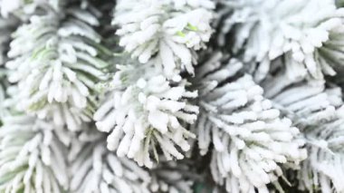 Karda köknar dalları olan Noel süslemesi videosu